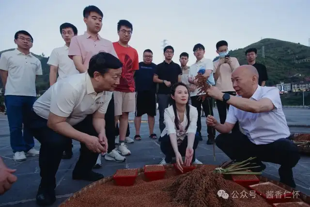 围甲棋手仁怀体验“非遗”高粱归仓(图2) 围甲棋手仁怀体验“非遗”高粱归仓(图2)