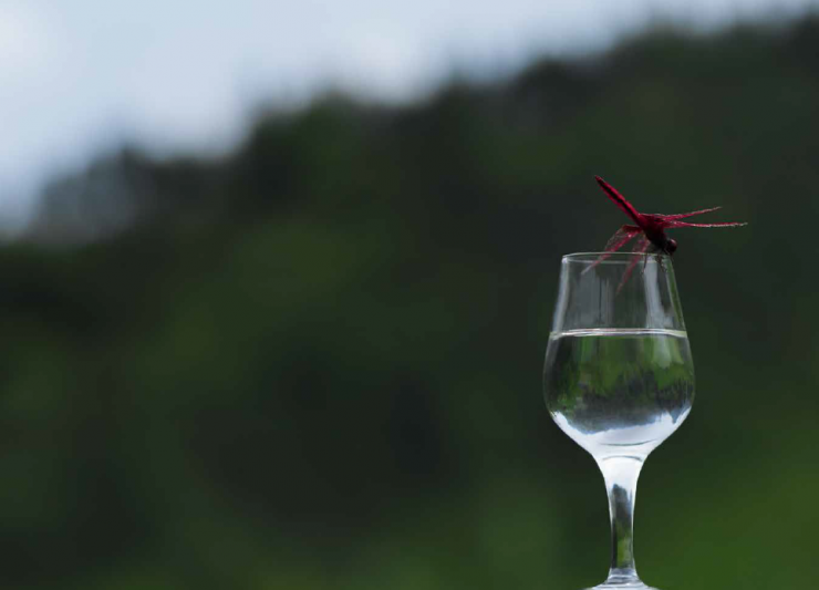 仁怀酱香酒产区标准:酱酒分级 消费者明白消费