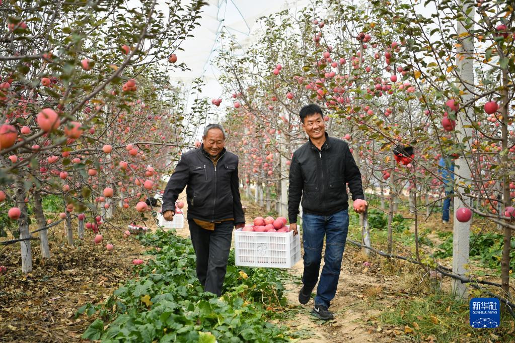 坚定不移走好高质量发展之路——以习近平同志为核心的党中央引领中国经济行稳致远述评(图10)