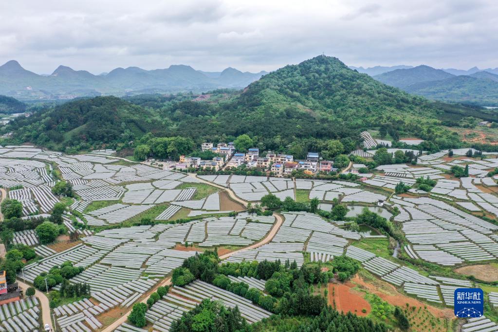 人民江山(图4)