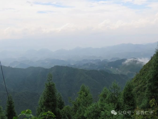 【寻仁迹】奶子山：仁怀人的“氧”人胜地