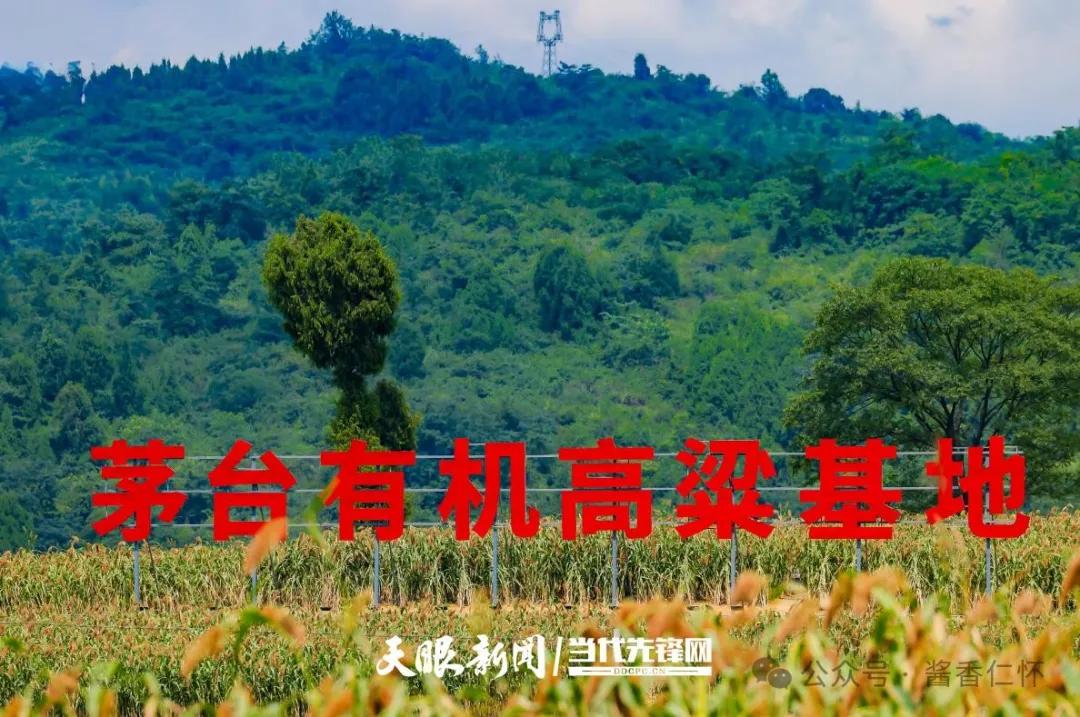 一路酱香 皆是好酒(图3)