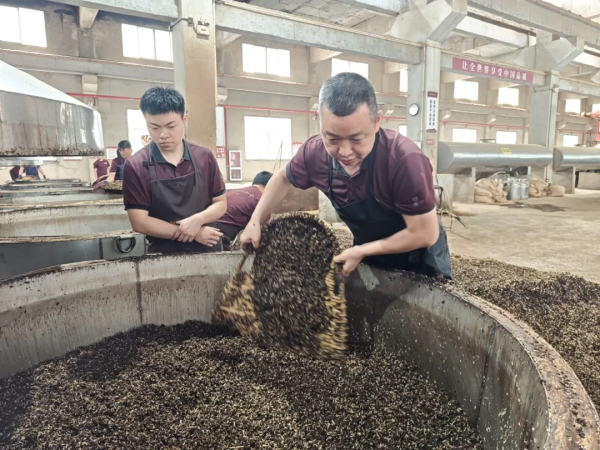 仁怀“师带徒”模式 培育上万名白酒人才