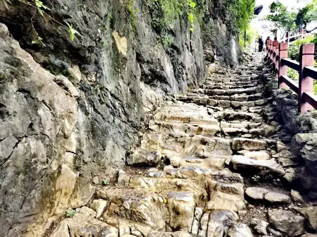 【寻仁迹】红薯入黔:山海传种与黔地兴荣(图3) 【寻仁迹】红薯入黔:山海传种与黔地兴荣(图3)