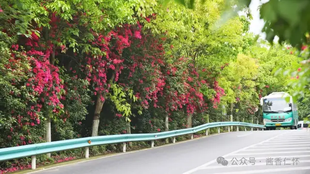 古道繁花,邂逅醉美马桑坪(图2) 古道繁花,邂逅醉美马桑坪(图2)