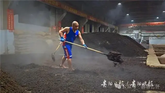 茅台镇酿酒车间工人的一天(图7) 茅台镇酿酒车间工人的一天(图7)